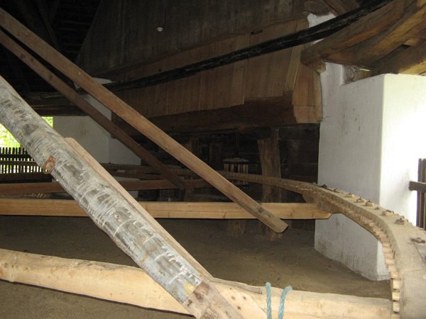 Szarvas 294